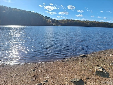 4 Turkey Creek, Lowndes, MO 63951 - photo 7