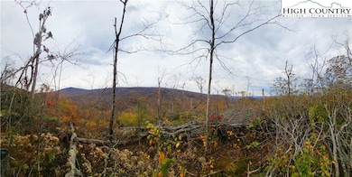 A18 Meadow Ave Loop, Banner Elk, NC 28604 - photo 7