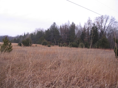 Parcel 14 N M-18, Roscommon, MI 48653 - photo 3