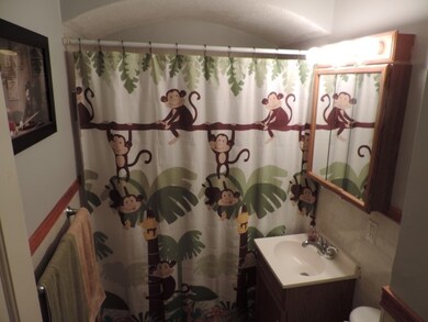 1341 21st Ave SW, Cedar Rapids, IA 52404 - photo 5