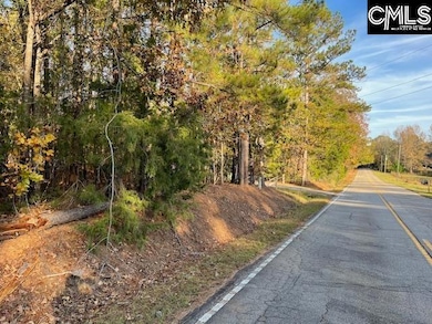 1620 Washington Lever Rd, Little Mountain, SC 29075 - photo 3