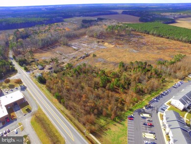 21566 Vaughn Rd, Georgetown, DE 19947 - photo 4