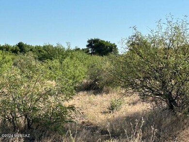trees/land lot