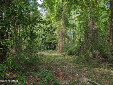 PXL_20240613_201036678