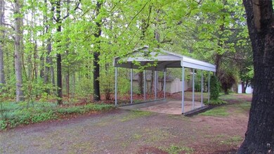 Carousel Image