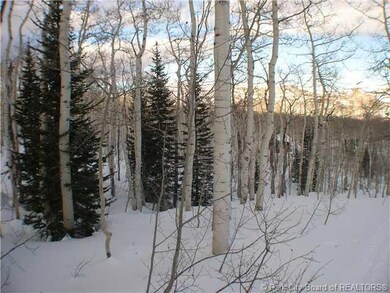 Land/Lot. View of property