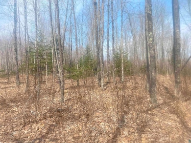 View of landscape featuring a view of trees