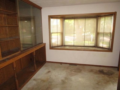 206 N Central Ave, Truman, MN 56088 - photo 7