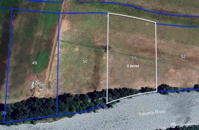Lot 51 is 3 acres.  Front entry line is 283 feet.  East lot line is 404 feet, West lot line is 526 feet and the river frontage is 302 feet.