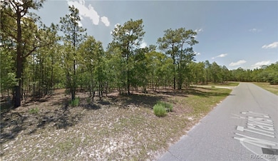 9506 N Travis Dr, Citrus Springs, FL 34434 - photo 2