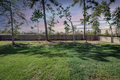 14114 Aspen Woods Ct, Conroe, TX 77384 - photo 3