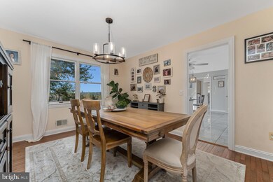 16 Chestnut Ave, Frenchtown, NJ 08825 - photo 7