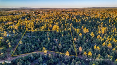 2333 Elk Ridge Ln unit 4H, Overgaard, AZ 85933 - photo 4