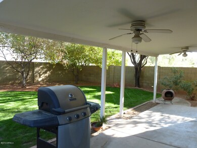 Great BBQ yard