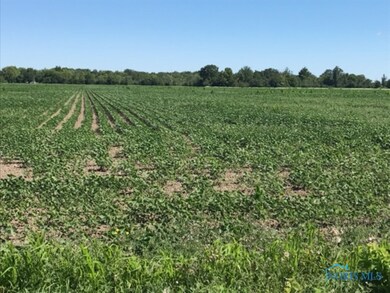 0 Devils Hole Rd unit 6034482, Pemberville, OH 43450 - photo 2