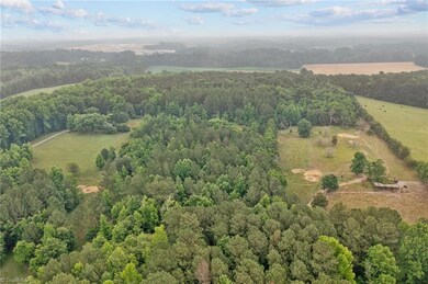 403 Chatham View Rd, Ramseur, NC 27316 - photo 5