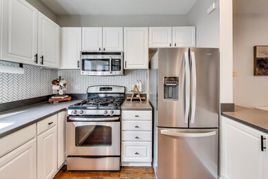 1775 W Altgeld St unit F, Chicago, IL 60614 - photo 5