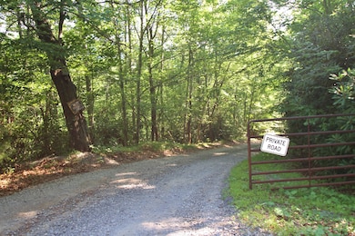 0 Deeter Ridge Rd, Frankford, WV 24938 - photo 7