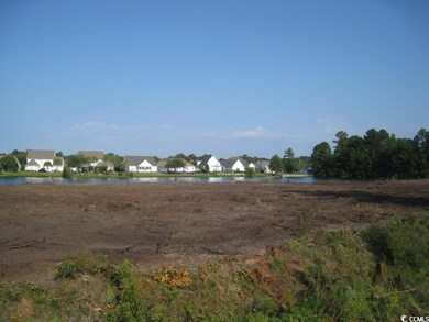 TBD Wilderness Rd, Conway, SC 29526 - photo 3