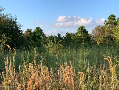 View of the Lot from the  road.