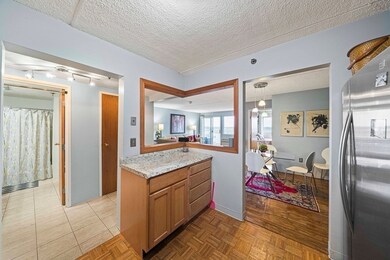 Captain Cove's Condominiums unit 909, Quincy, MA 02169 - photo 5