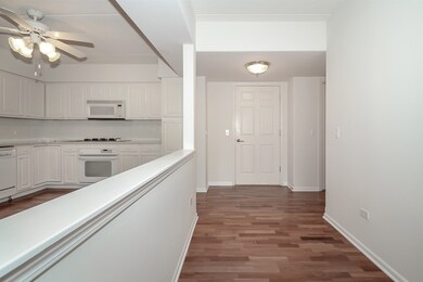 351 Town Place Cir unit 311, Buffalo Grove, IL 60089 - photo 3