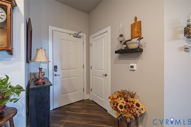 10521 Stony Bluff Dr unit 402, Ashland, VA 23005 - photo 7