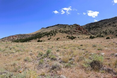 966 Pronghorn Trail, Del Norte, CO 81132 - photo 4