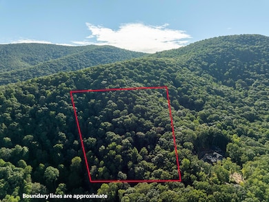 Lot 13 Wilderness Way, Ellijay, GA 30536 - photo 3