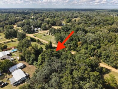 206 N Helmers Ave, Interlachen, FL 32148 - photo 6