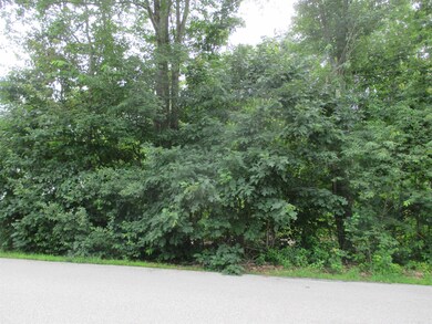 TBD Coleman St, Rochester, NH 03867 - photo 2