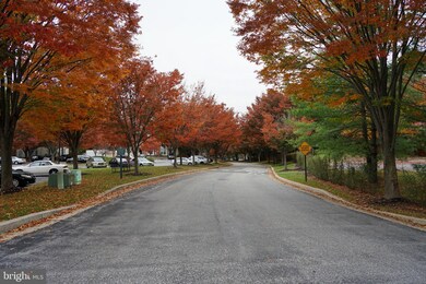5321 Wagon Shed Cir, Owings Mills, MD 21117 - photo 3