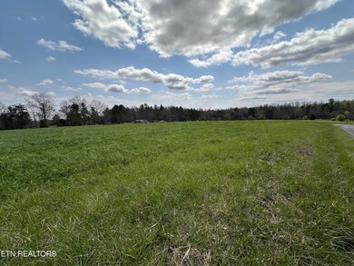 IMG_8594