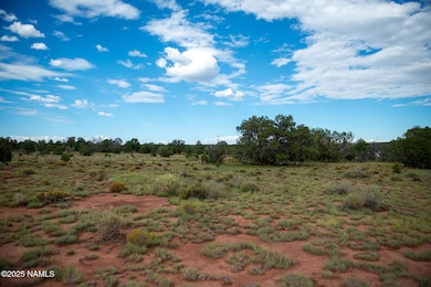 7536 Hawkeye Cir, Williams, AZ 86046 - photo 6