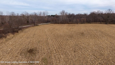 Vl Windsor Hwy, Dimondale, MI 48821 - photo 5