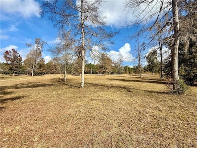 0 Hardwater Lake Rd, Pollock, LA 71467 - photo 6