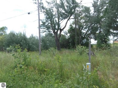 8215 Curtis Rd, Hale, MI 48739 - photo 2