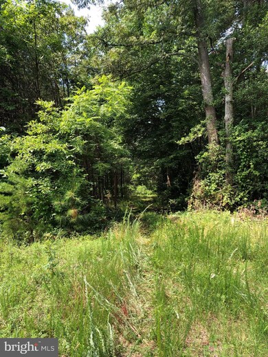 14686 Dry Bridge Rd, Ruther Glen, VA 22546 - photo 3