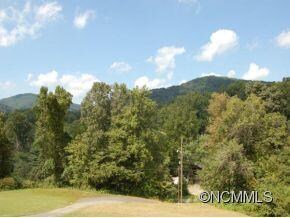 371 Starnes Cove Rd, Candler, NC 28715 - photo 4