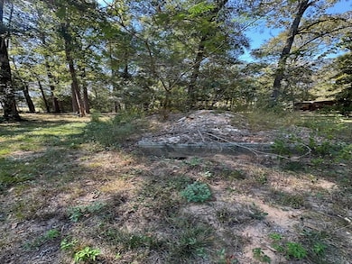 TBD Magnolia Dr, Conroe, TX 77303 - photo 5