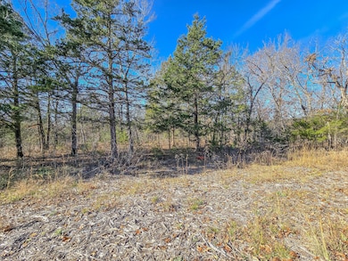 000 County Road 292a, Pittsburg, MO 65724 - photo 3