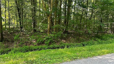 2047 N Park Ln, Roaming Shores, OH 44084 - photo 2