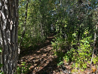 23976 W Beach Grove Rd, Antioch, IL 60002 - photo 5