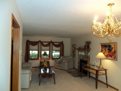 855 Michael Dr, Morris, IL 60450 - photo 6