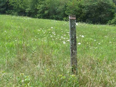 4.66ac Horseman Dr, Statesville, NC 28625 - photo 5