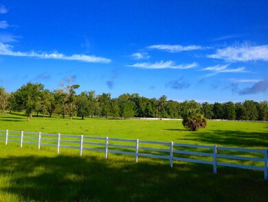 399 Wakulla Arran Rd, Crawfordville, FL 32327 - photo 4