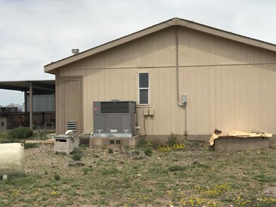 IMG-3917 (1)