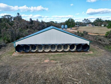 5100 Mount Ida Rd, Luverne, AL 36049 - photo 4