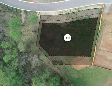 8413 Six String Dr, College Grove, TN 37046 - photo 4