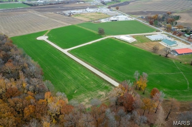 420 Bertha E Dumey Dr, Benton, MO 63736 - photo 3